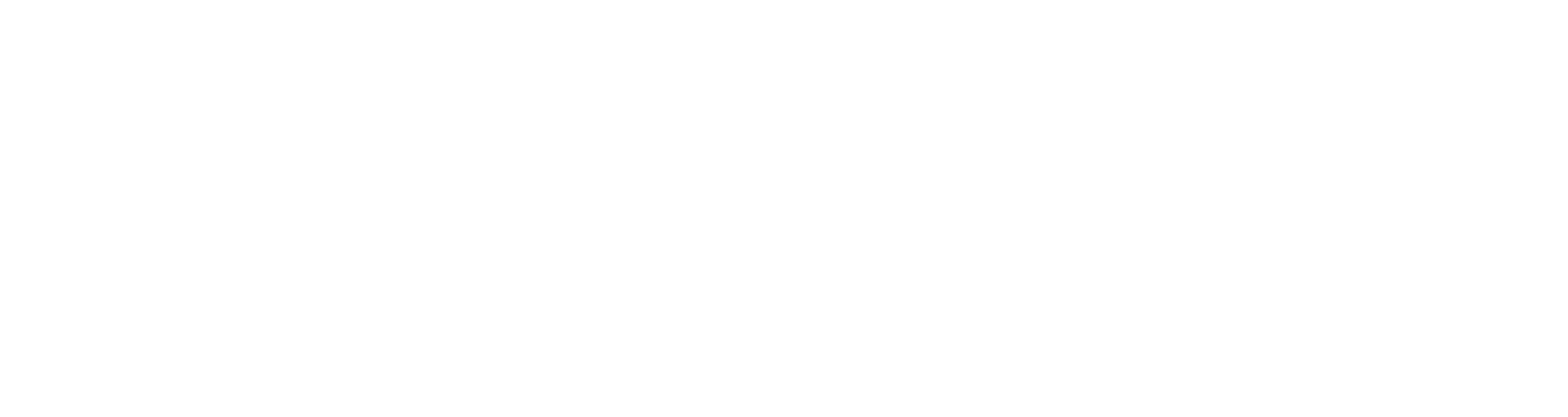 대웅 비즈케어 | 다나아데이터